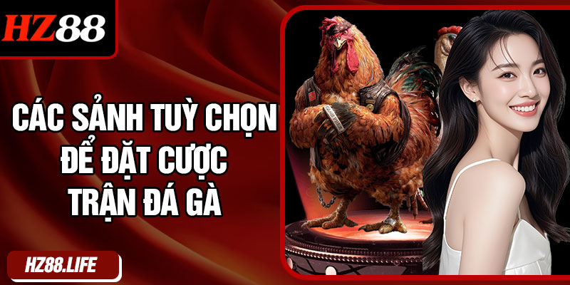 Các Sảnh Tuỳ Chọn Để Đặt Cược Trận Đá Gà