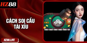 Cách Soi Cầu Tài Xỉu