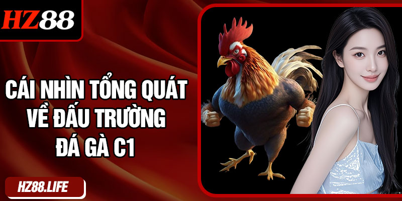 Cái nhìn tổng quát về đấu trường đá gà C1