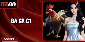 Đá Gà C1