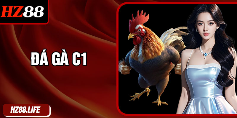 Đá Gà C1