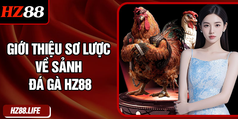 Giới Thiệu Sơ Lược Về Sảnh Đá Gà HZ88