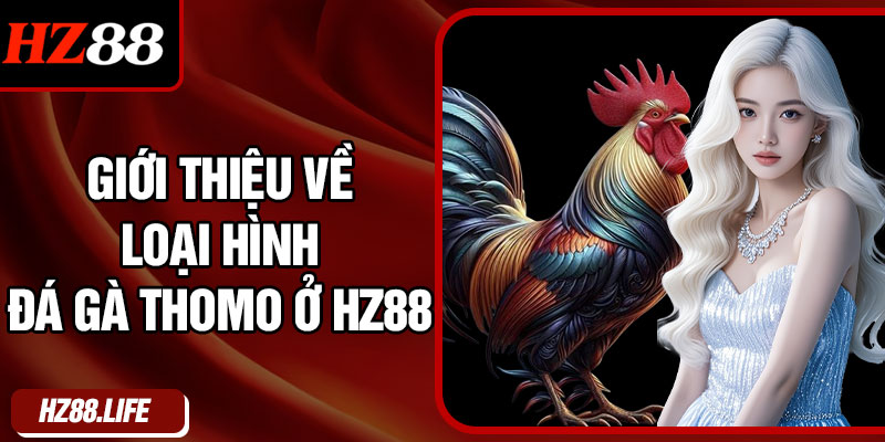 Giới thiệu về loại hình đá gà Thomo ở HZ88