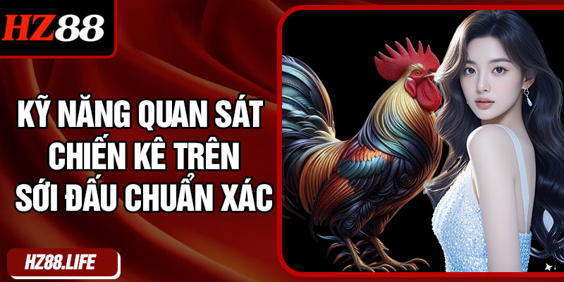 Kỹ năng quan sát chiến kê trên sới đấu chuẩn xác