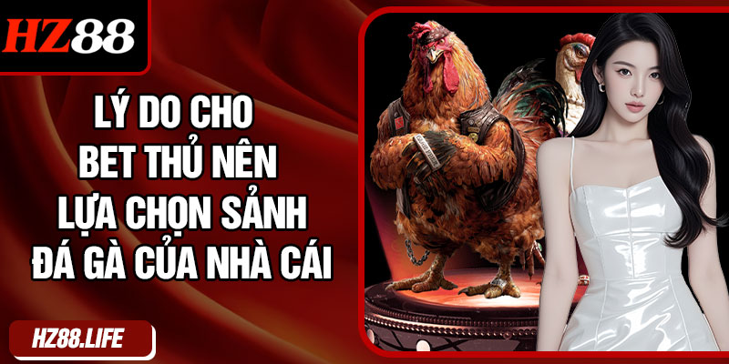 Lý Do Cho Bet Thủ Nên Lựa Chọn Sảnh Đá Gà Của Nhà Cái