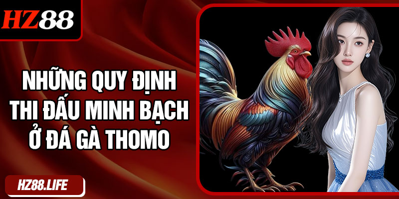 Những quy định thi đấu minh bạch ở đá gà thomo