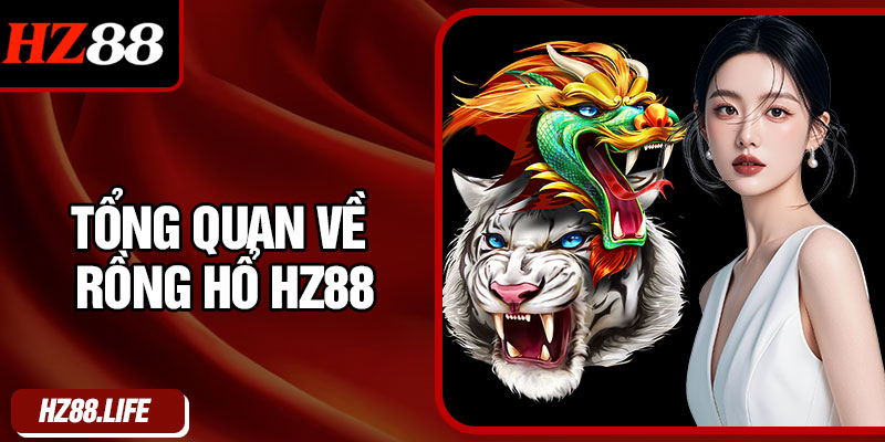 Tổng Quan Về Rồng Hổ HZ88